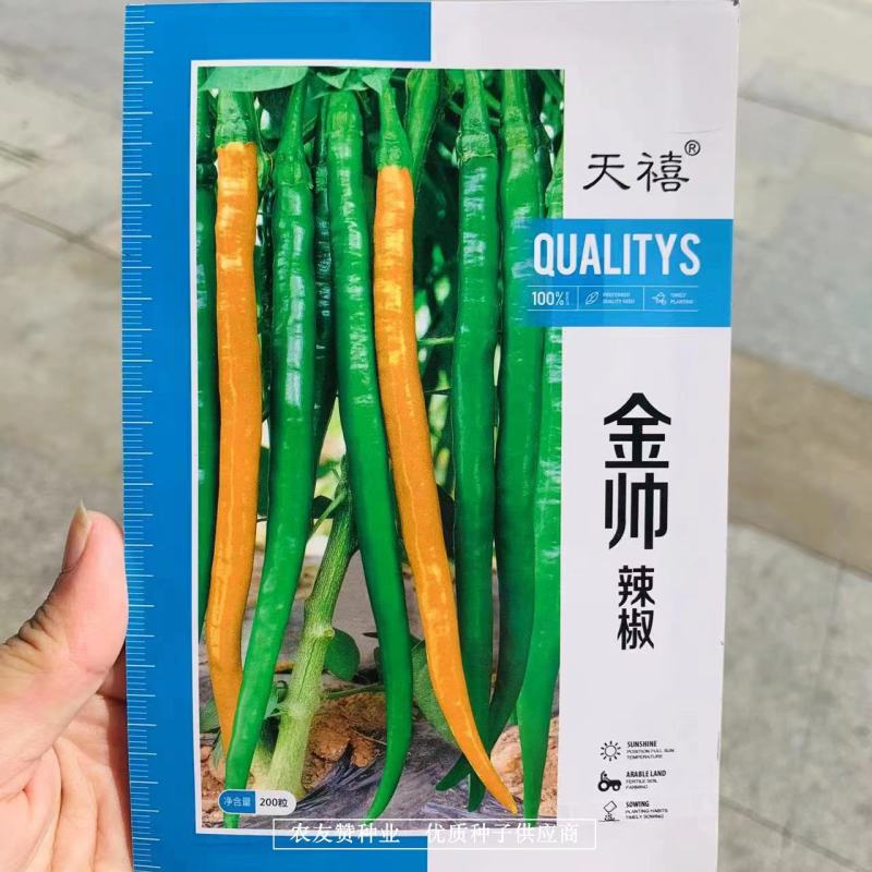 基地用黄色线椒种子顺直油亮辣味浓郁有香味黄辣椒种子