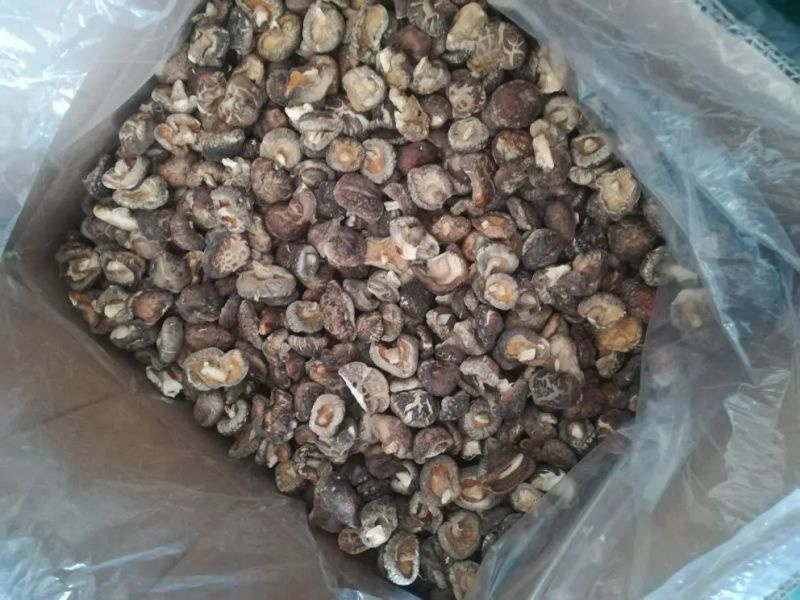 茶花香菇，秋栽菇，春栽菇2.5一3.5cm口感好，质量保证
