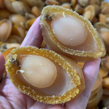 鲍鱼干