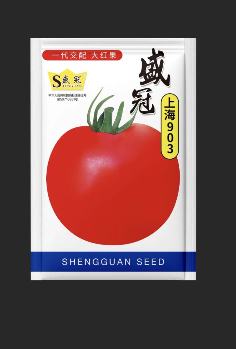 盛冠上海903西红柿种子番茄种子农家庭院阳台种植蔬菜种子