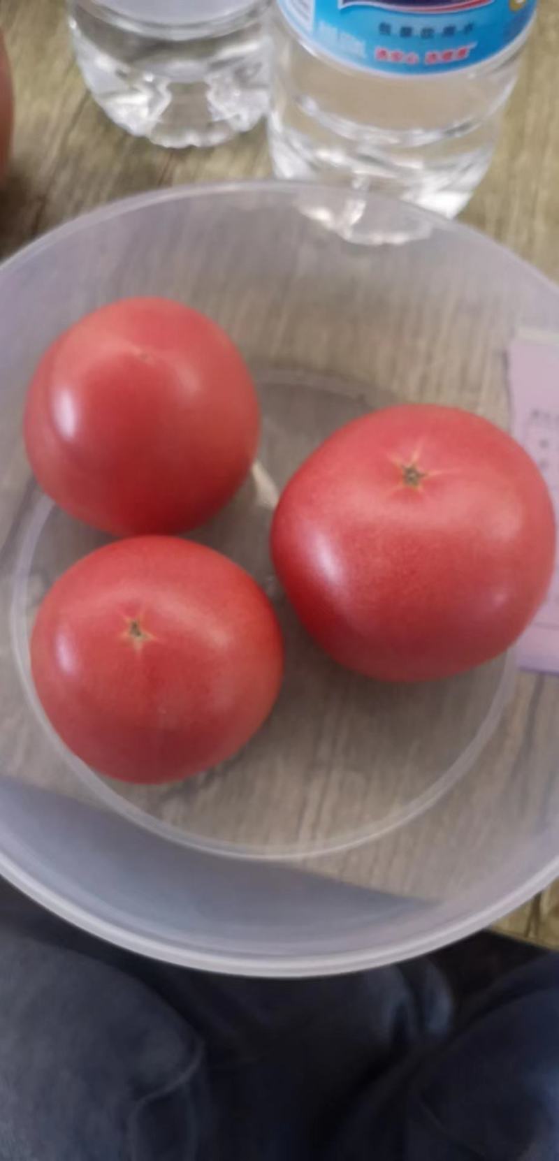 硬粉西红柿元谋县西红柿大果、中果、小果保质保量