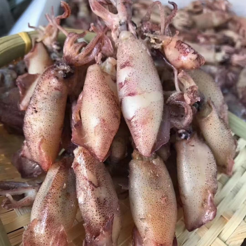东山岛小管仔干鱿鱼干海兔干货鱿鱼仔籽乌贼墨鱼仔即食尤