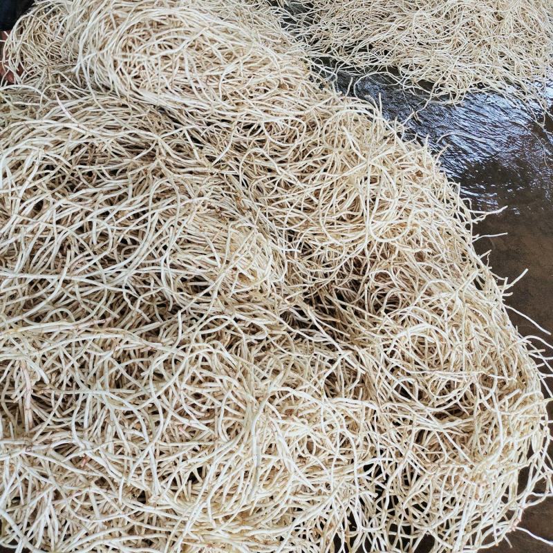 精品鱼腥草，喜欢可长期供货
