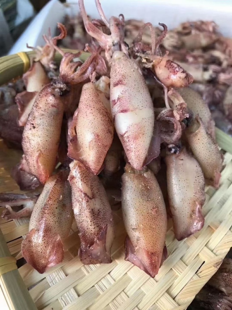 东山岛小管仔干鱿鱼干海兔干货鱿鱼仔籽乌贼墨鱼仔即食尤