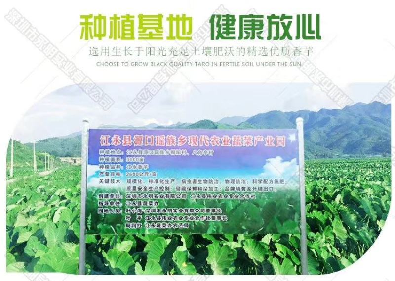 荔浦芋头粉江永香芋粉