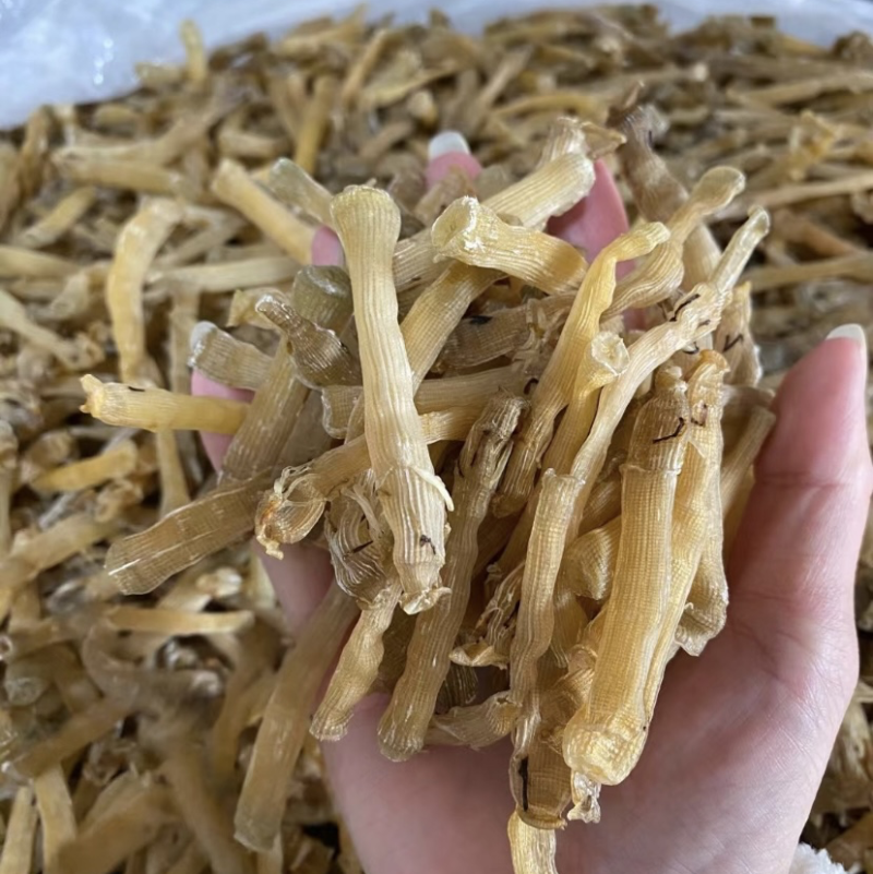 沙虫干炖品店营养煲汤无沙免洗零添加天然海鲜干货海肠子