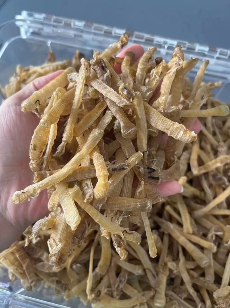 沙虫干炖品店营养煲汤无沙免洗零添加天然海鲜干货海肠子