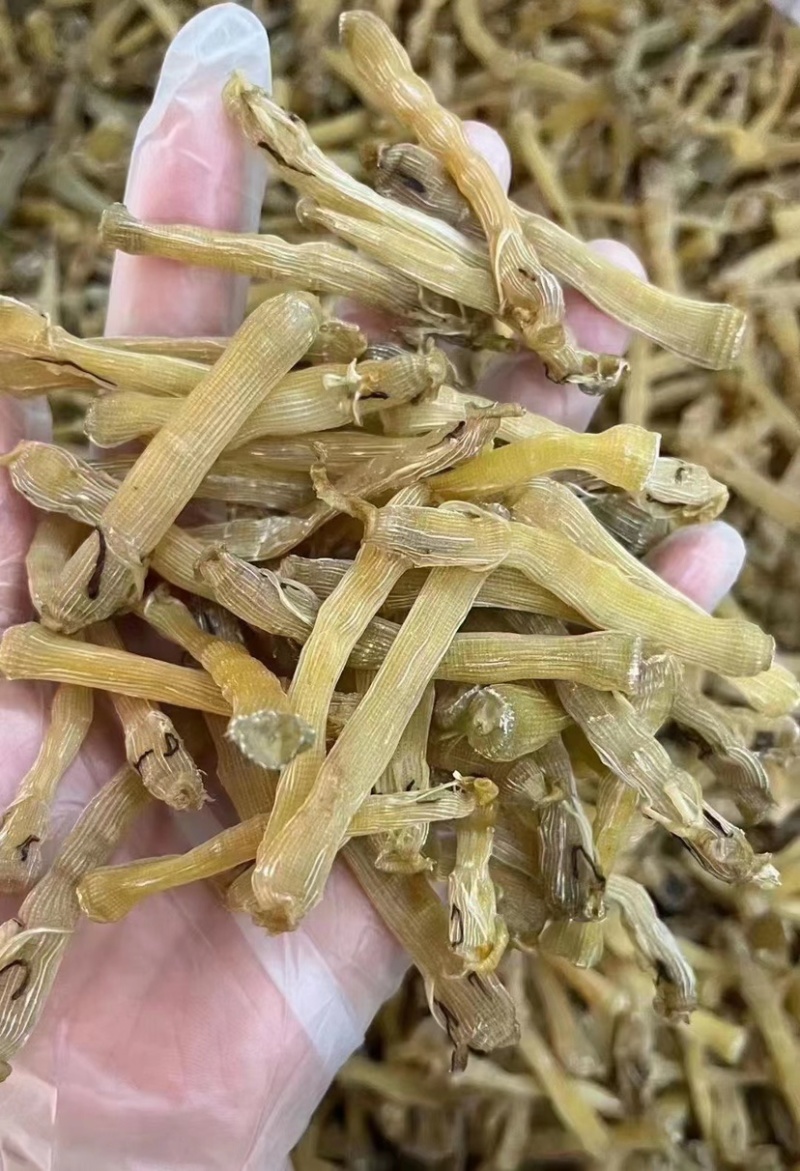 沙虫干炖品店营养煲汤无沙免洗零添加天然海鲜干货海肠子