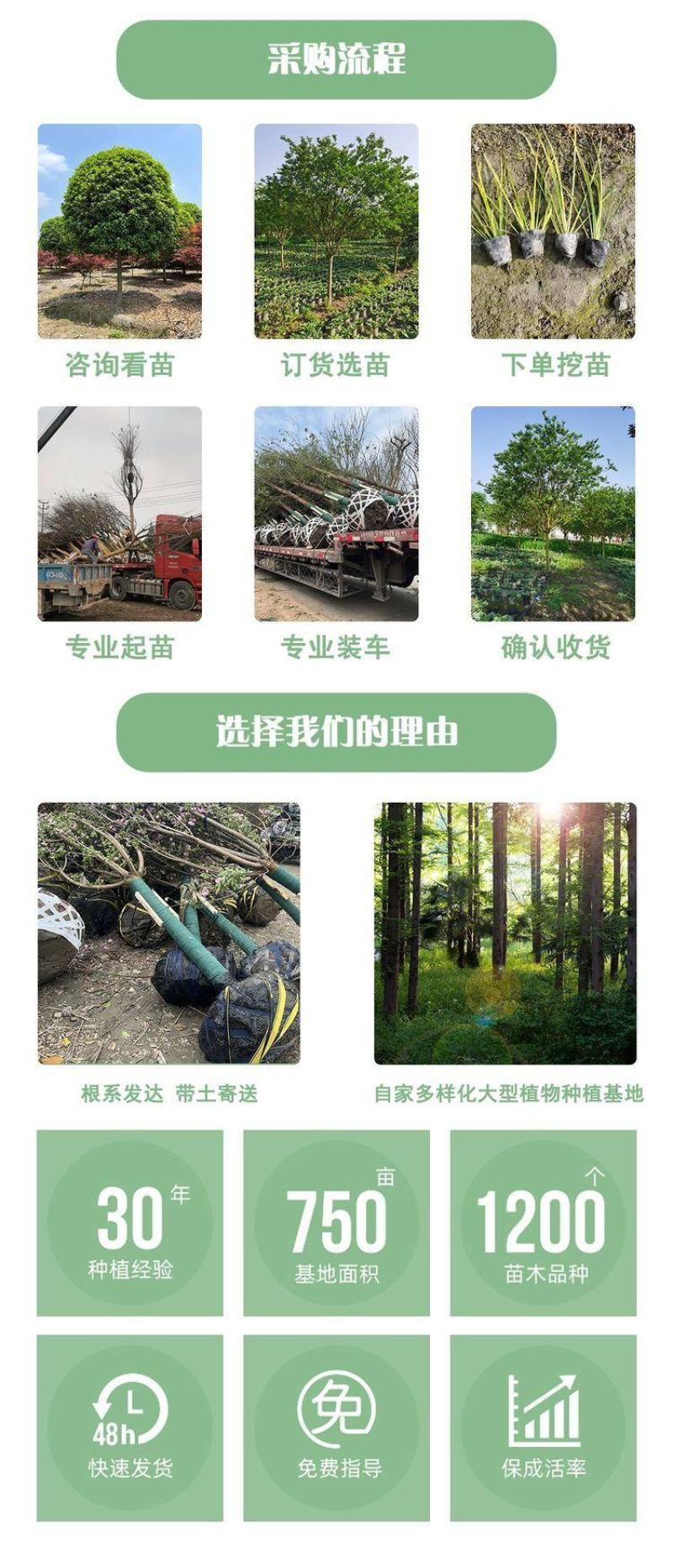 云南昆明宜良县油麻藤基地直发一手货源批发品质保证价格美丽