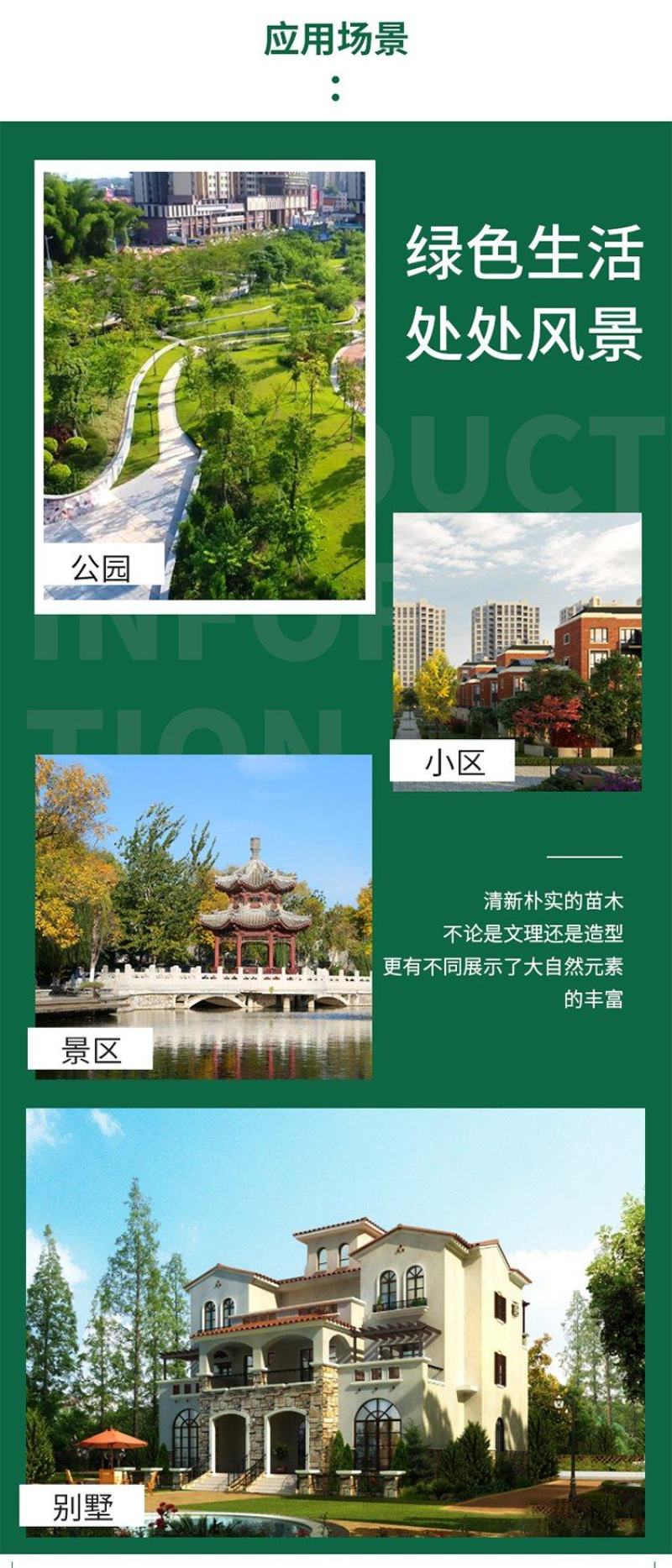 云南昆明宜良县油麻藤基地直发一手货源批发品质保证价格美丽