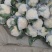 【推荐】河南精品松花菜大量上市基地直供全国代发