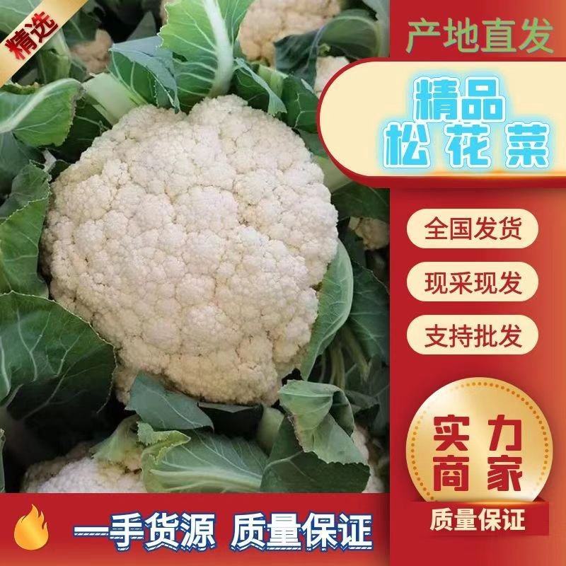 【实力】精品菜花产地直供对接全国批发大量有货价格便宜