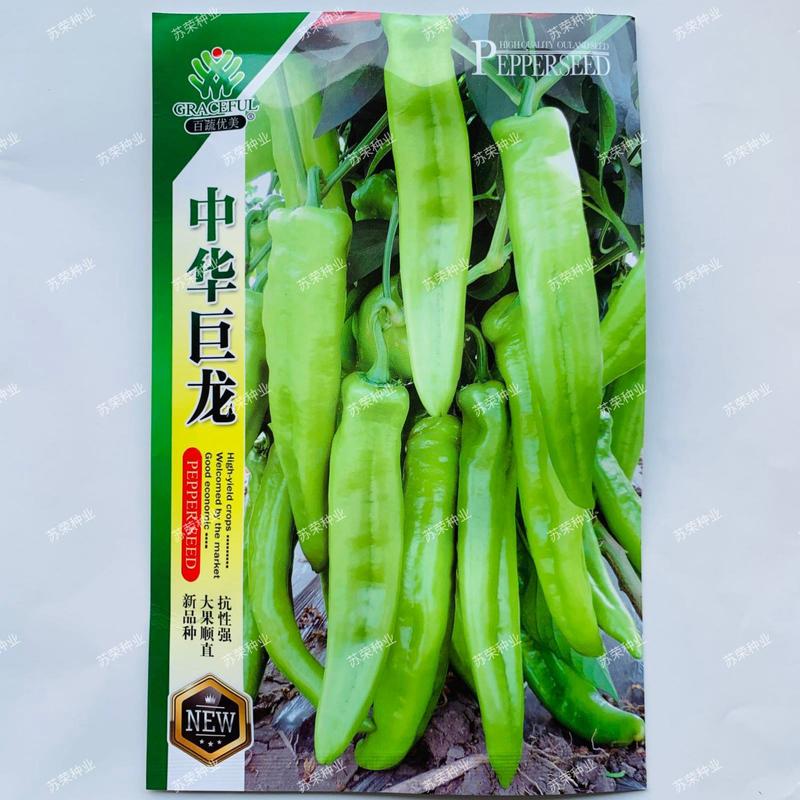 中华巨龙牛角椒种子耐热抗病大果黄绿皮尖椒种籽春夏秋季