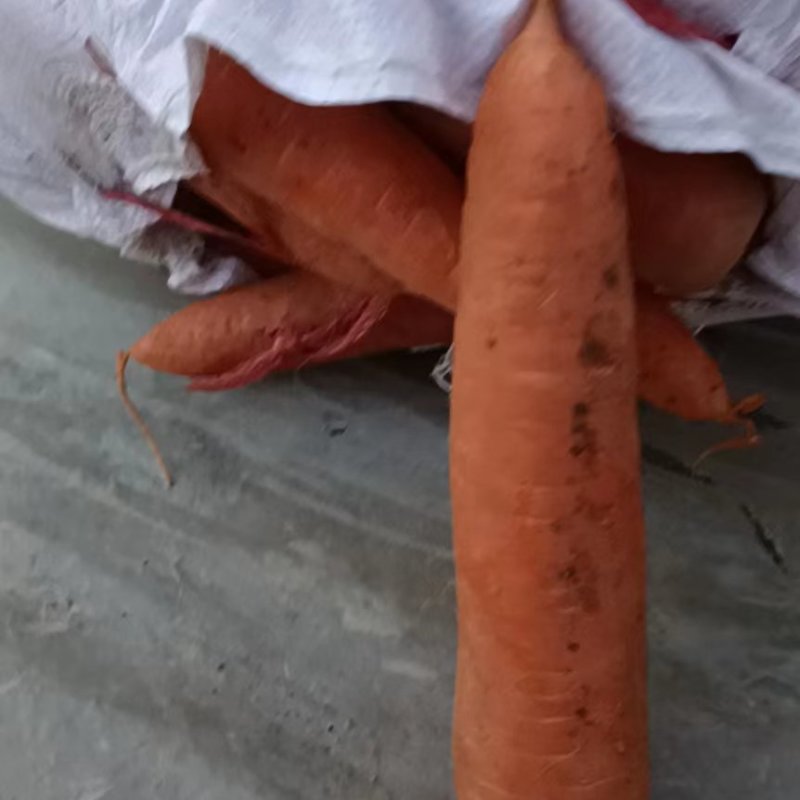 卖三红袋装胡萝卜，基地供应，质量好，专业包装。