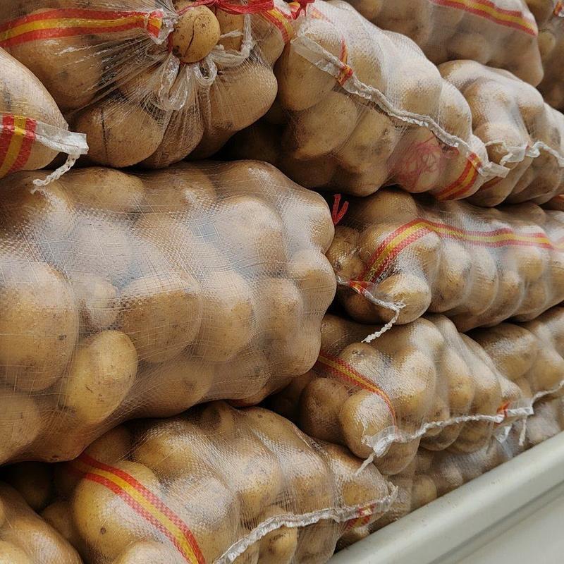 土豆/荷兰土豆/山东土豆/黄土豆/荷兰十五土豆全国发货