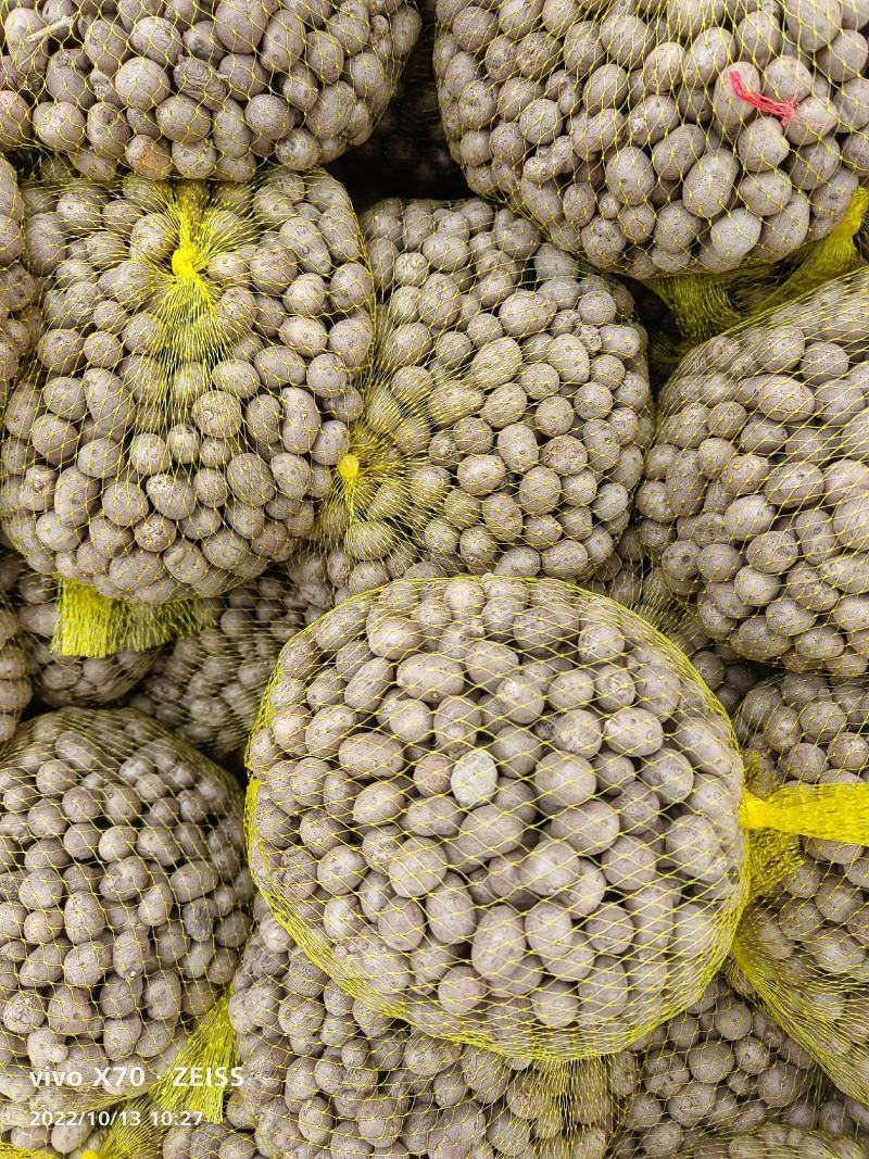 2026新山药豆，电商和商超各种规格的山药豆！已大量上市