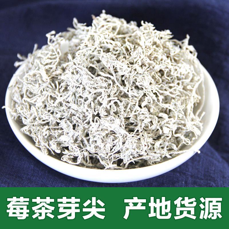 【莓茶】张家界特产莓茶芽尖100罐装藤茶包邮