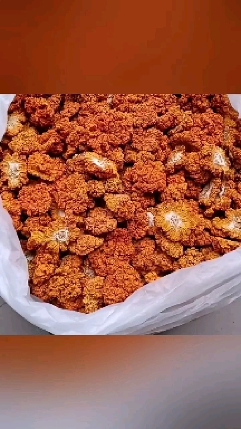 氨基酸金耳多糖2023年头茬新品精选好货平价直供批发