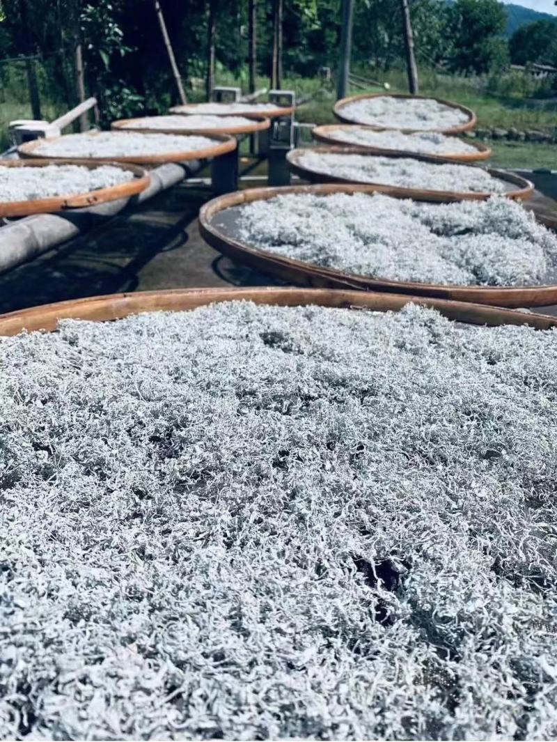 【莓茶】张家界特产莓茶芽尖100克罐装头茬藤茶芽尖包邮