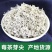 【莓茶】张家界特产莓茶芽尖100克罐装头茬藤茶芽尖包邮