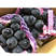 长野紫葡萄苗，自然无核，晚熟大粒香甜多汁，保纯度保成活率