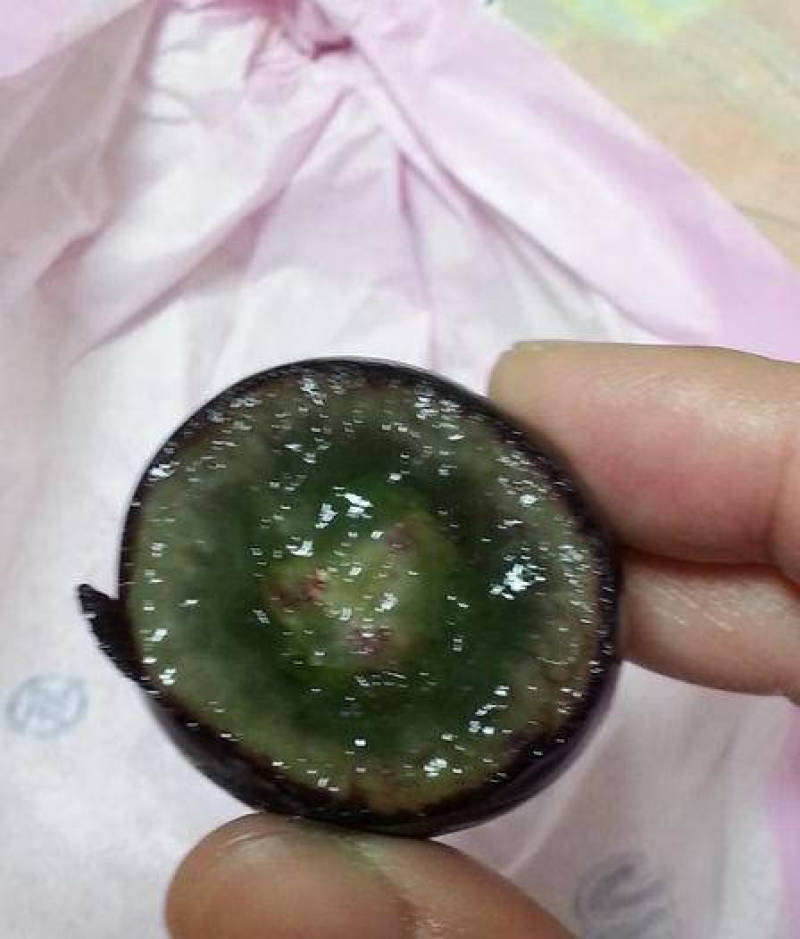 长野紫葡萄苗，自然无核，晚熟大粒香甜多汁，保纯度保成活率