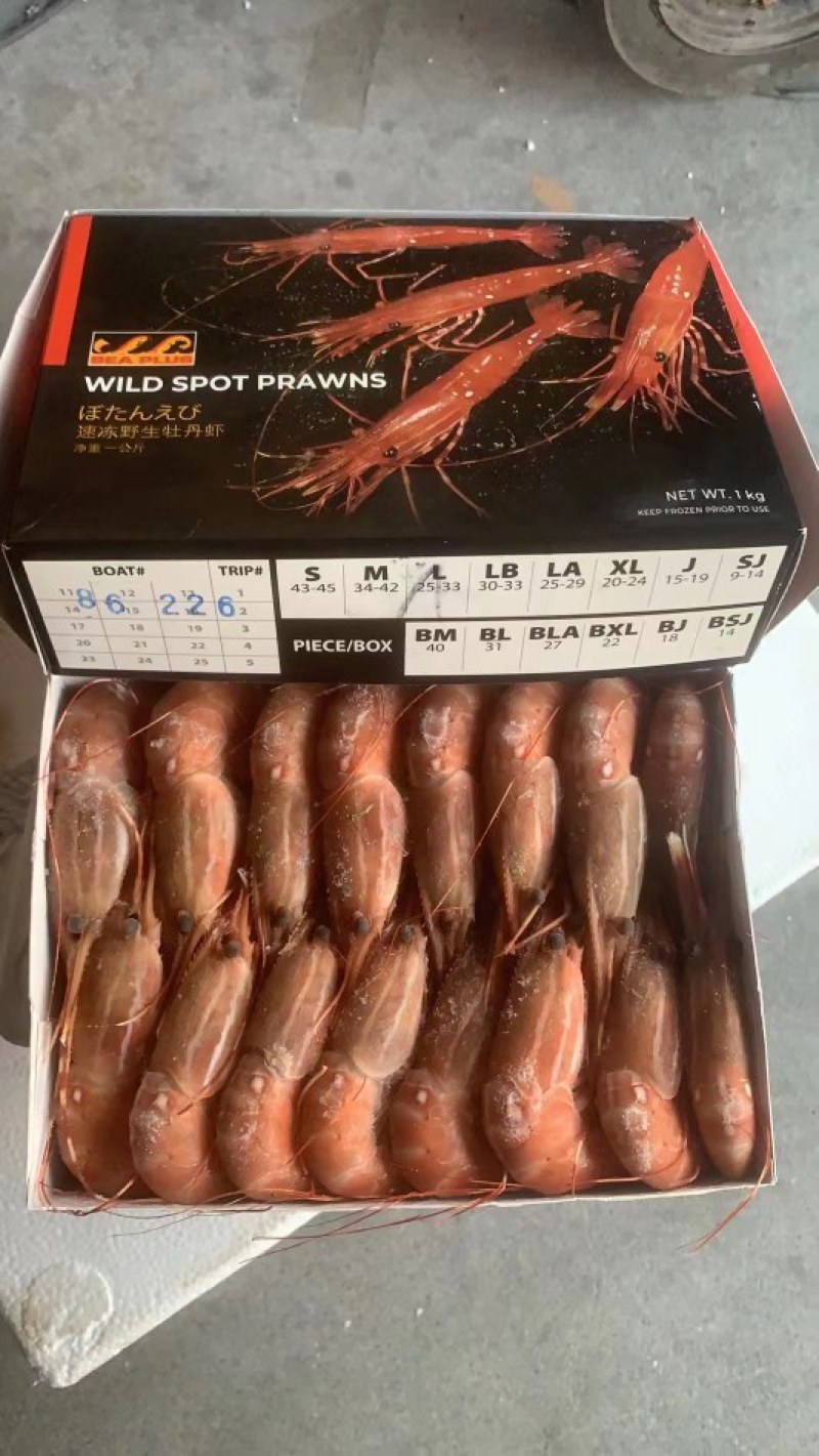 牡丹虾