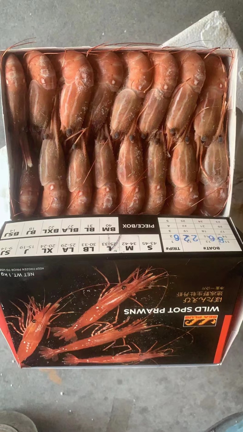 牡丹虾