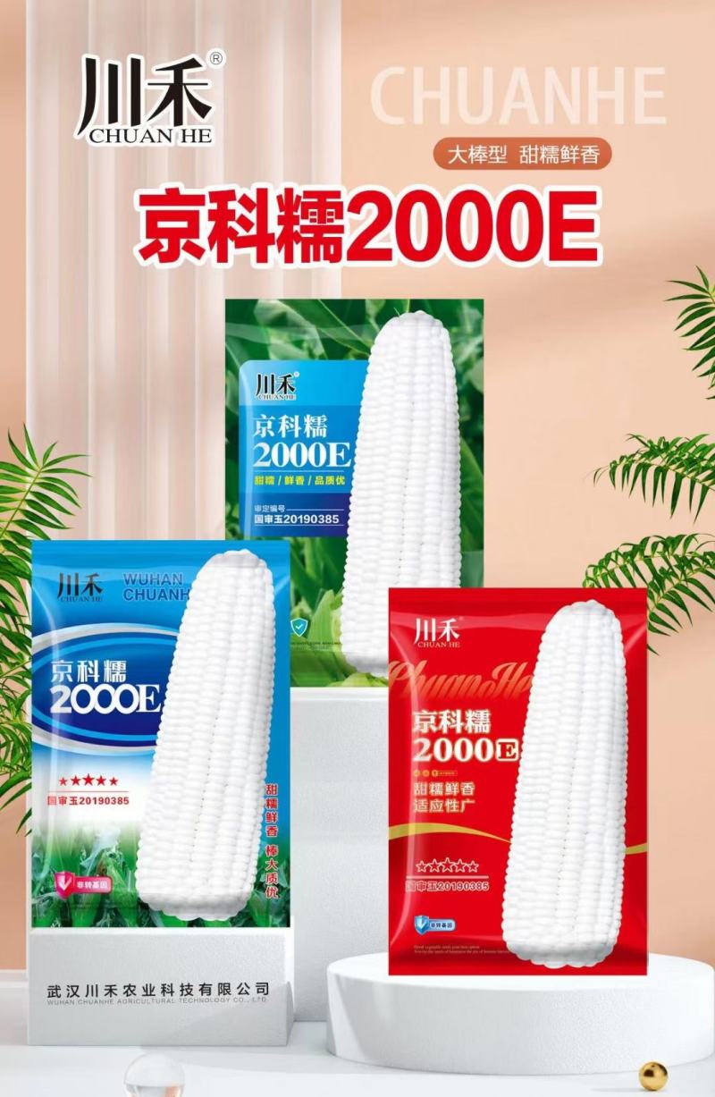 京科糯2000E玉米种子，200克