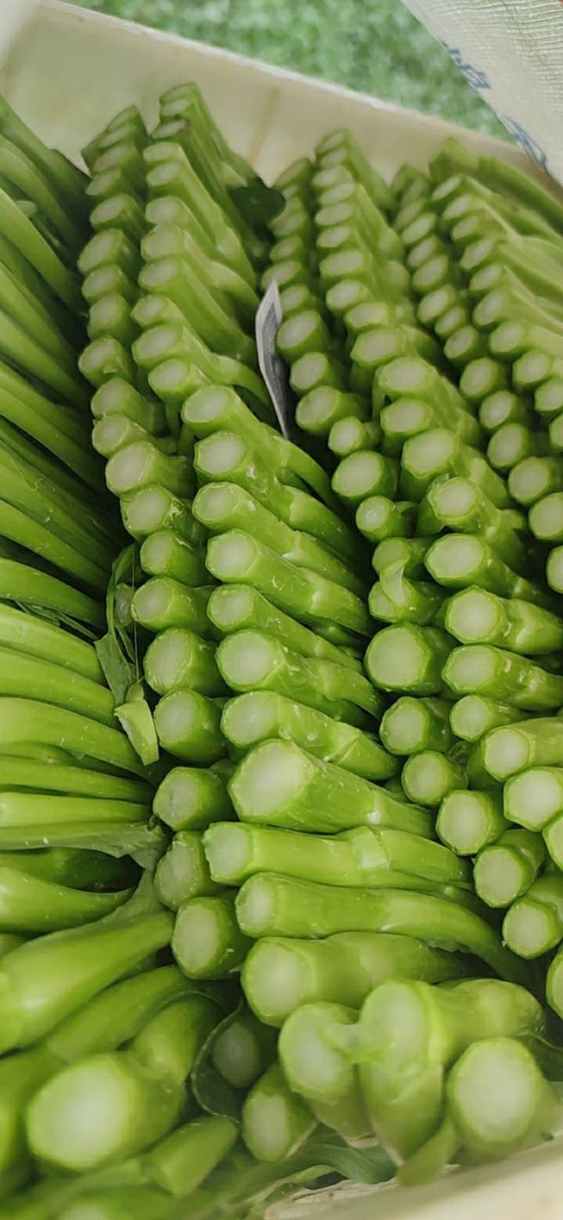广东菜心菜苔基地直发保质保量售后无忧全国可发售后无忧