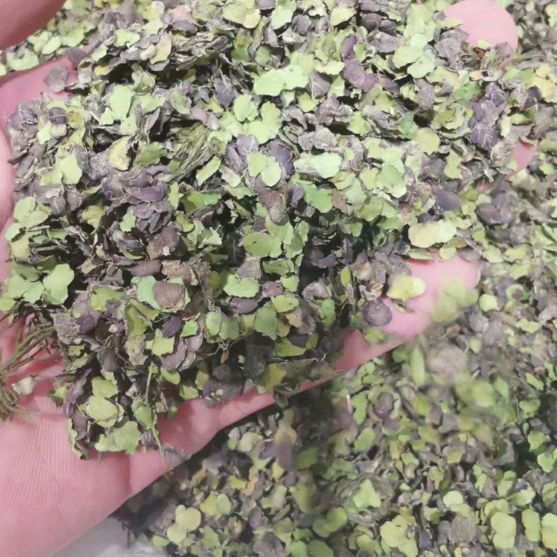 浮萍干货浮萍中药材量大从优欢迎选购！