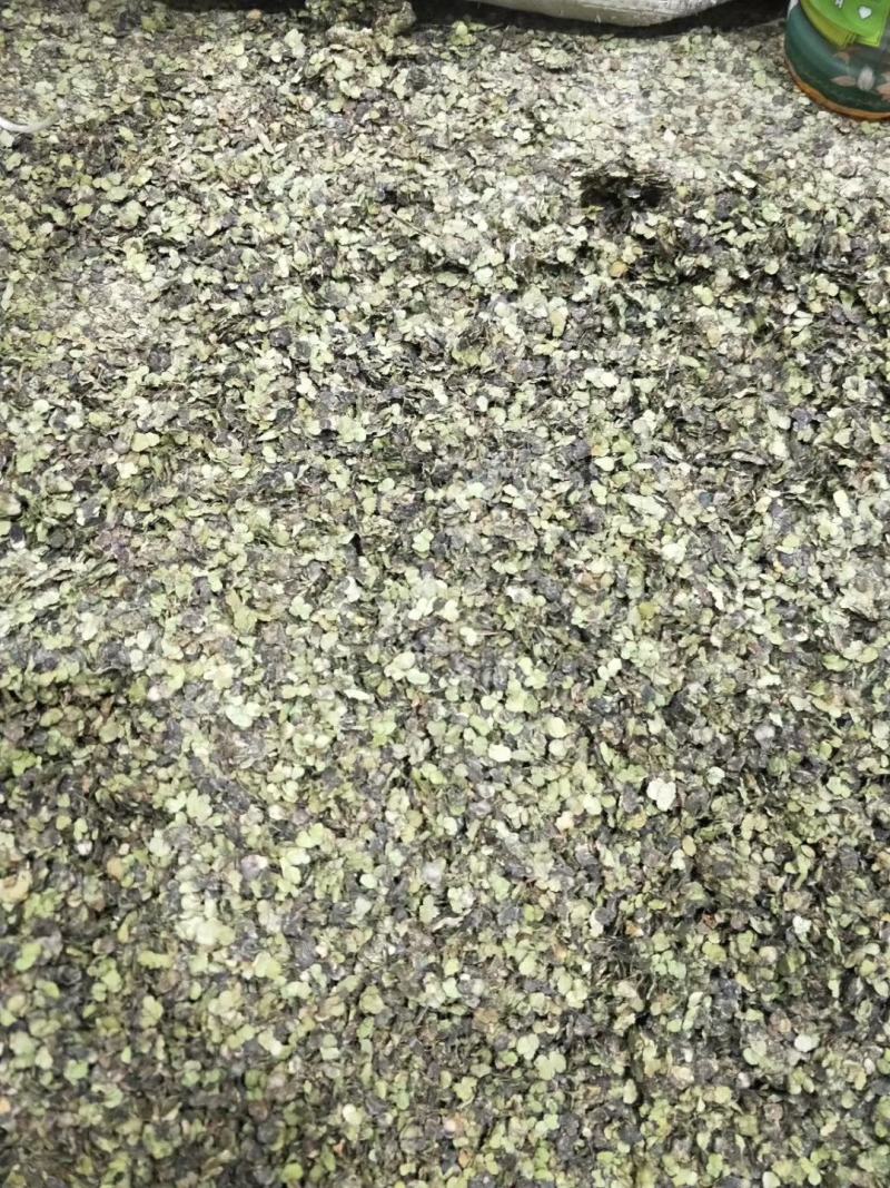 浮萍干货浮萍中药材量大从优欢迎选购！