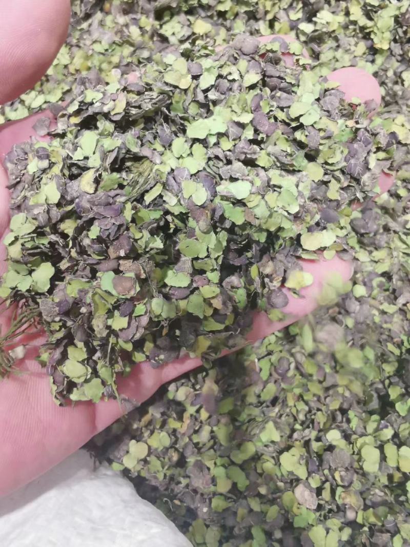 浮萍干货浮萍中药材量大从优欢迎选购！