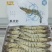 黑虎虾