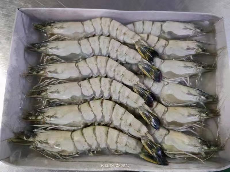 黑虎虾