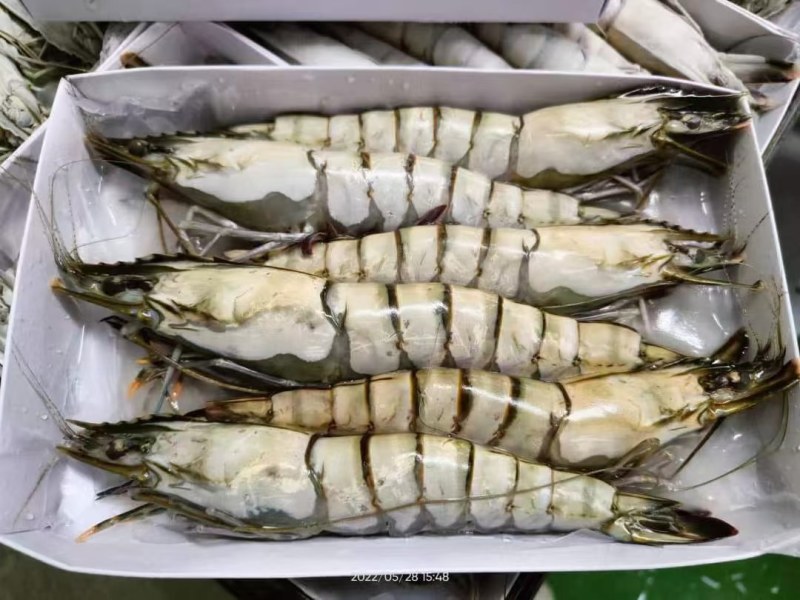 黑虎虾