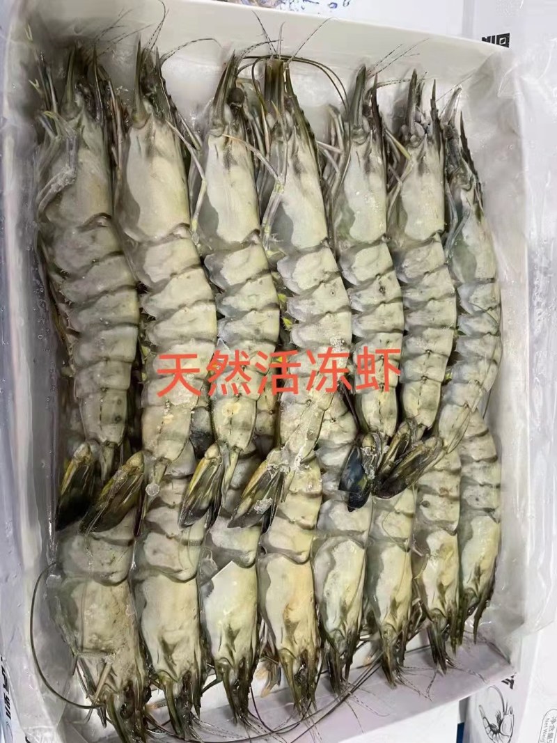 黑虎虾