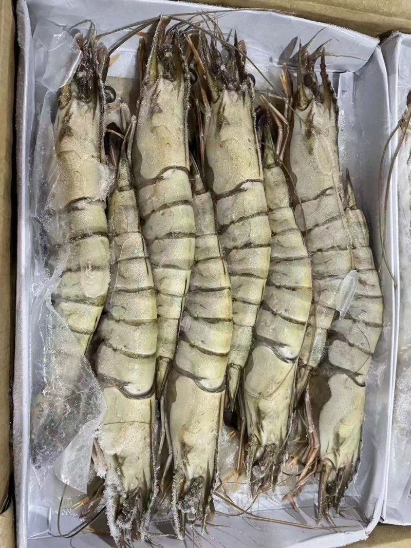 黑虎虾