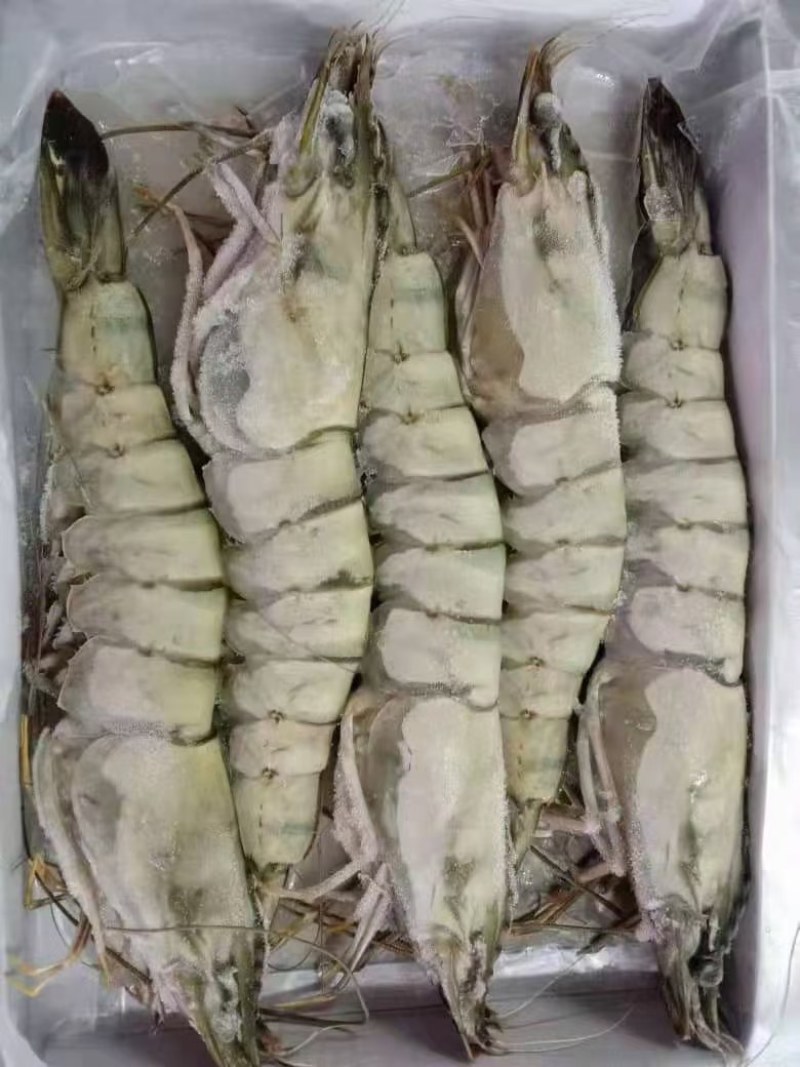 黑虎虾