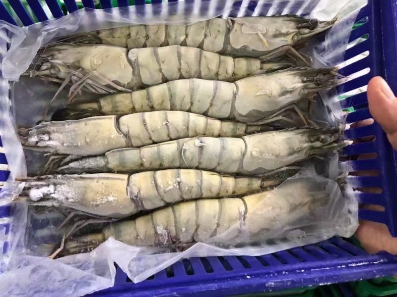黑虎虾