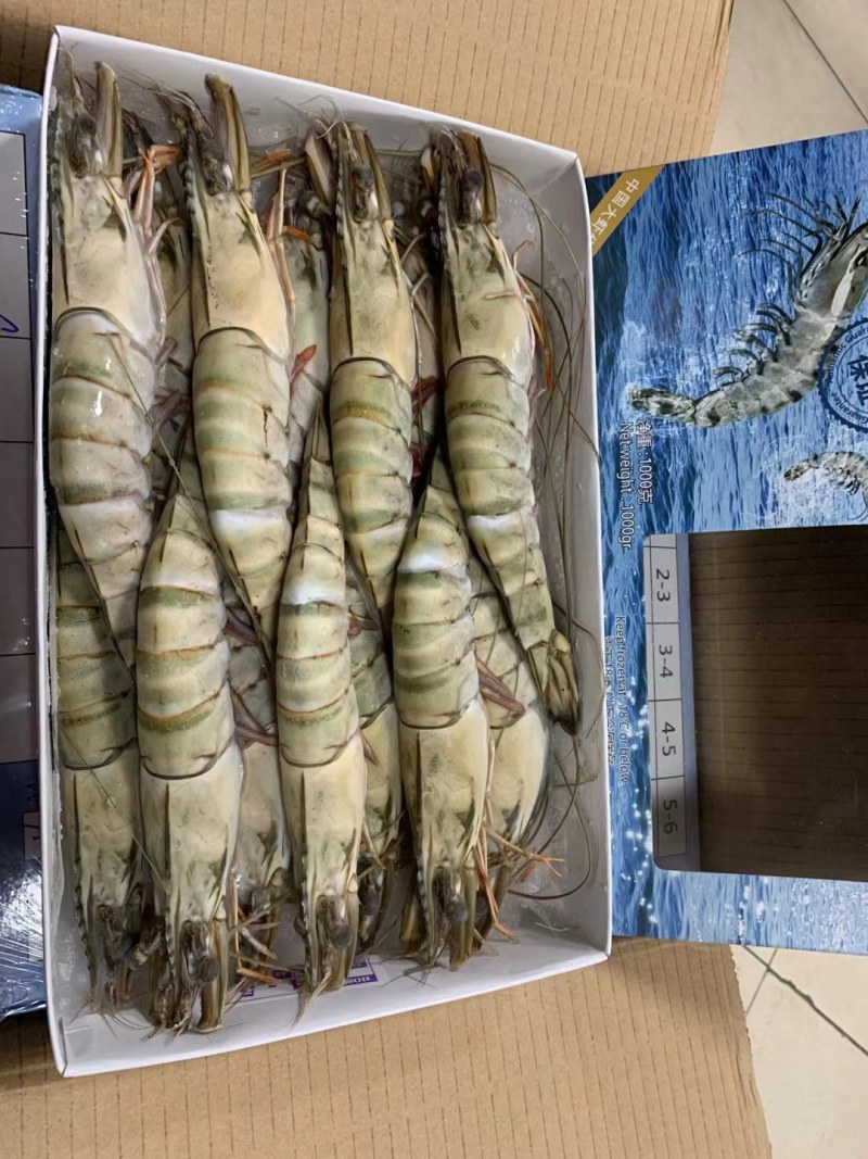 黑虎虾