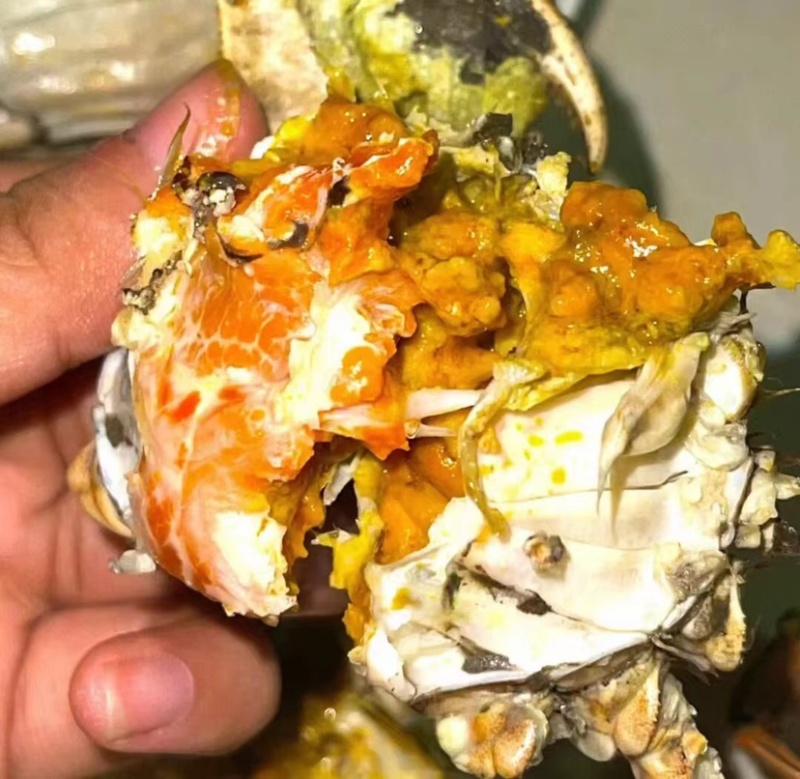 高淳固城湖各种规格残蟹批发，蟹农直发，一手货源
