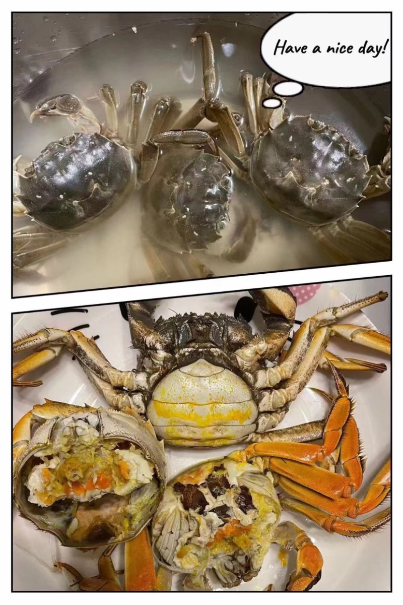高淳固城湖各种规格残蟹批发，蟹农直发，一手货源