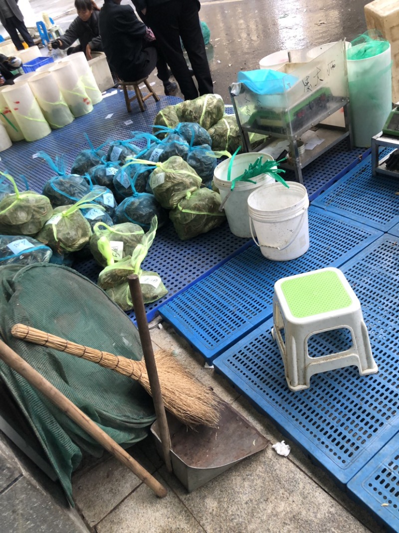 高淳固城湖各种规格残蟹批发，蟹农直发，一手货源