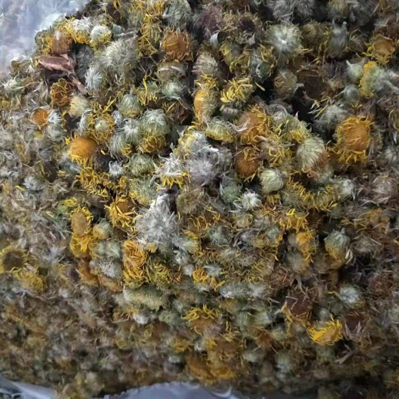 旋覆花干货中药材常年经营各种中药材量大从优