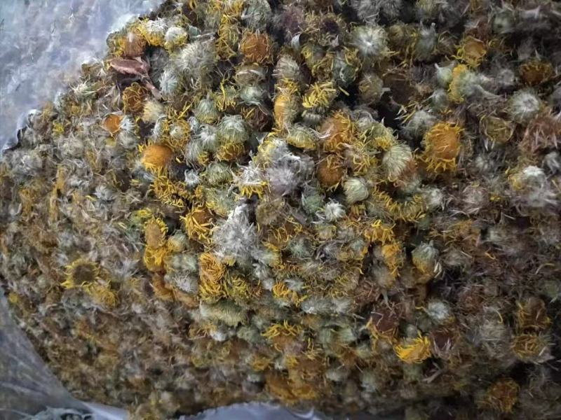 旋覆花干货中药材常年经营各种中药材量大从优