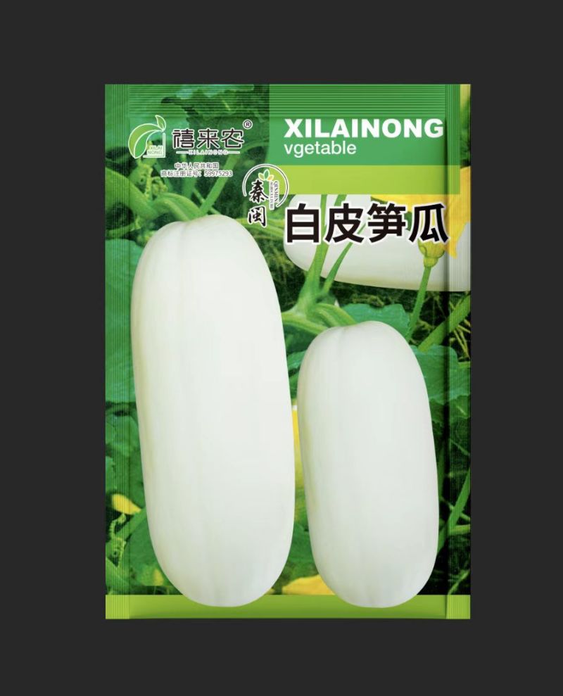 白皮笋瓜种子西葫芦种子农家庭院阳台种植蔬菜种子