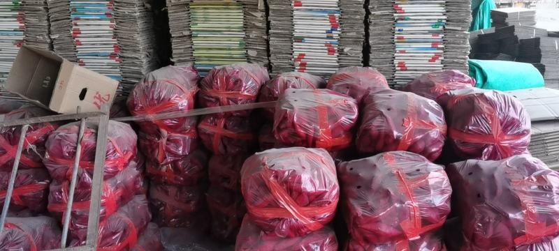 济薯，板栗薯，济薯26小红薯雄安板栗