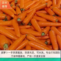 胡萝卜中条小条，次品都有，包装四到四十斤价格美丽