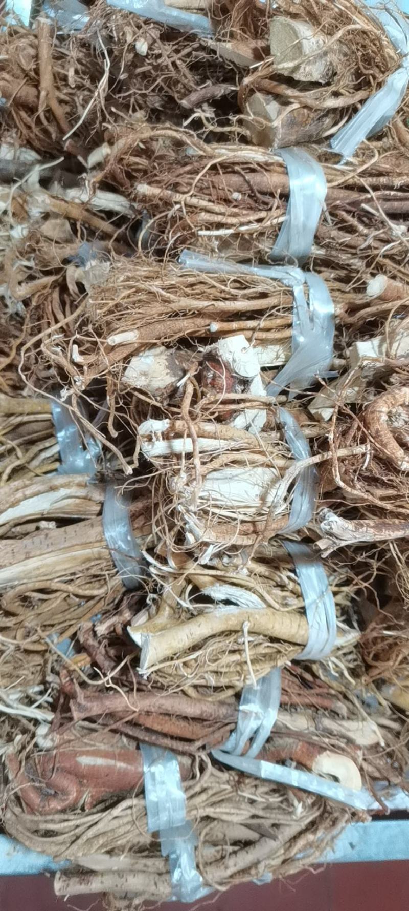 五指毛桃小扎干货！！！！！！！！！！！！！